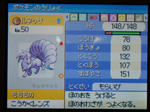 PB280165.JPG