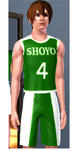 sd_sims3.jpg