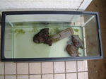 DSCF000273.JPG