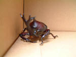 DSCF000280.JPG