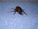 DSCF000282.JPG