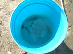 DSCF000295.JPG