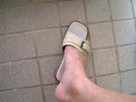 DSCF000316.JPG