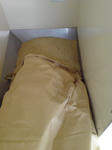 DSCF000342.JPG