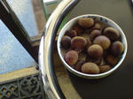 DSCF000354.JPG