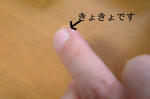 DSCF000379.JPG