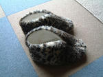 DSCF000433.JPG