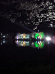 DSC00021.JPG