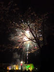 DSC00017.JPG