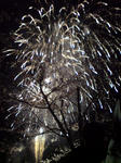 DSC00016.JPG