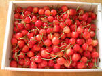 DSCF000608.JPG