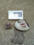 DSCF000610.JPG