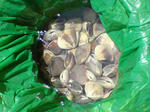 DSCF000611.JPG