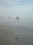 DSCF000613.JPG