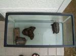 DSCF000711.JPG
