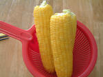 DSCF000712.JPG