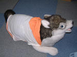 DSCF000723.JPG