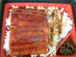 DSCF0028.JPG