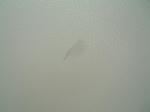 DSCF000732.JPG