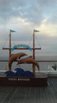 DSC00142.JPG