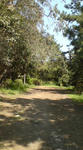 DSC00164.JPG