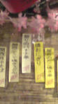 DSC00170.JPG