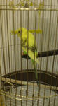 DSC00177.JPG
