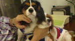 DSC00173.JPG