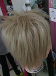 2009_08210014.JPG
