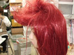 2009_05160003.JPG