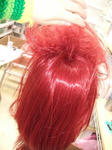 2009_05160007.JPG