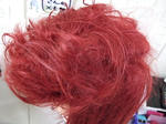 2009_05160010.JPG