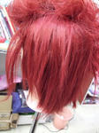 2009_05160012.JPG