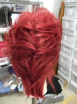 2009_05160014.JPG