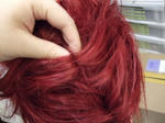 2009_05160015.JPG