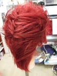 2009_05160022.JPG
