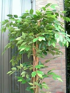 2c88ebb3.jpg