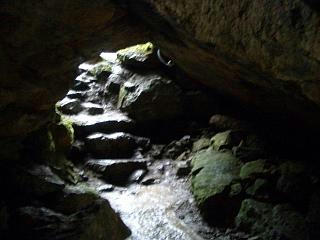 f947181f.JPG