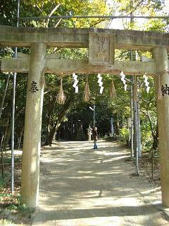 0739acc5.jpg