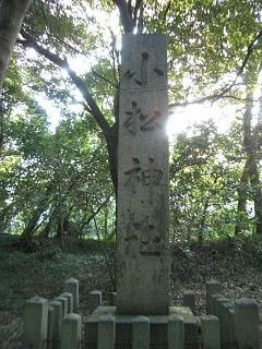 abf27f7d.jpg
