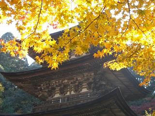 9c6a9326.JPG