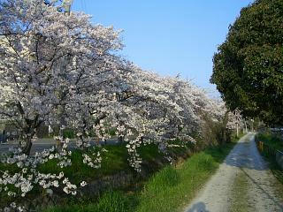 CIMG9449.JPG