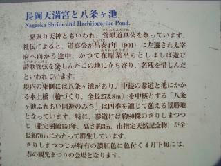 CIMG7438.JPG