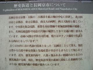 CIMG7439.JPG