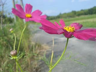 9f7a0447.JPG