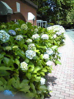 Image321.jpg