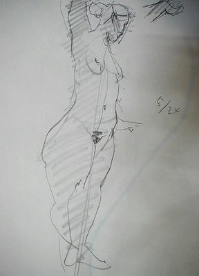 P5240009s.jpg