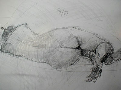 P8230005s.jpg