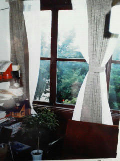 201101051315000.jpg