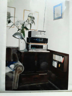 201101051316000.jpg